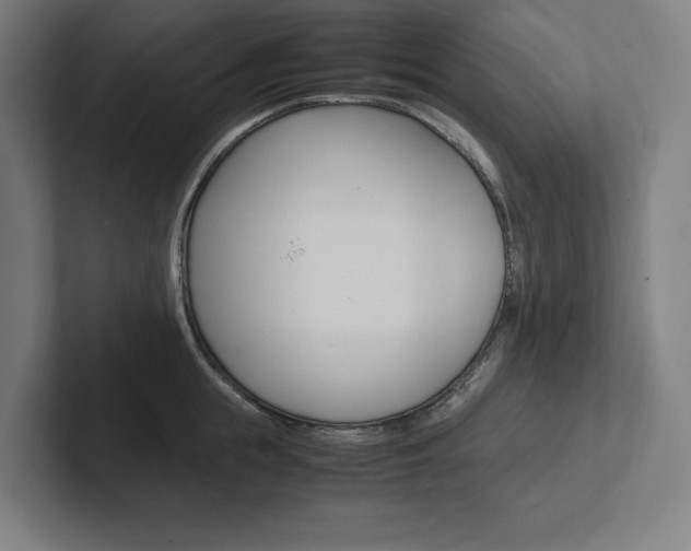 X0000102860855200808181024