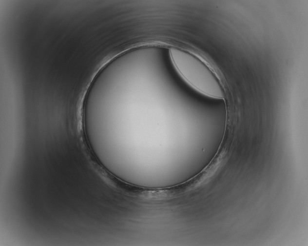 X0000102860858200808181024