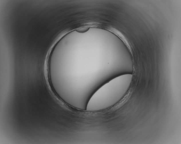 X0000102860859200808181024