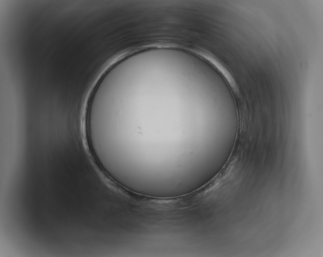 X0000102860861200808181024