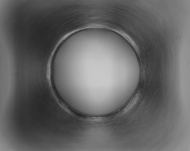 X0000102860862200808181024