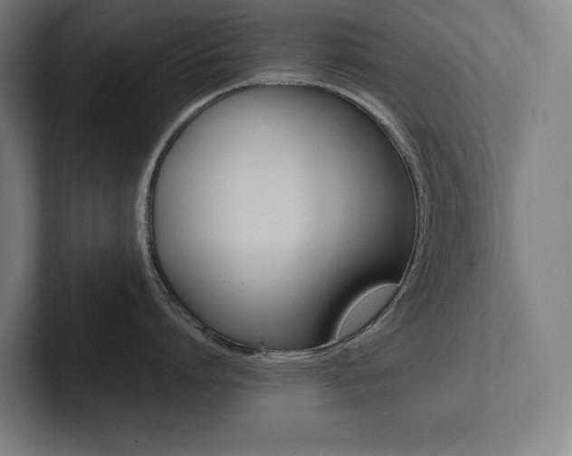 X0000102860864200808181024