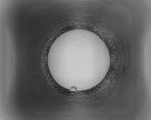 X0000102860865200808181023
