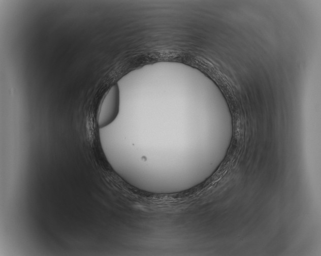 X0000102860866200808181023