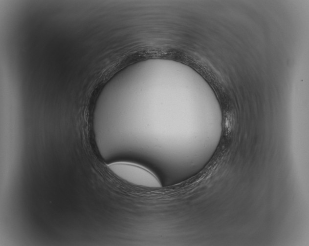 X0000102860867200808181023