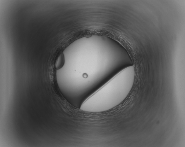 X0000102860868200808181023