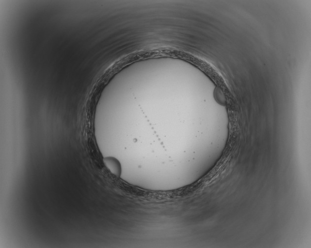 X0000102860871200808181023