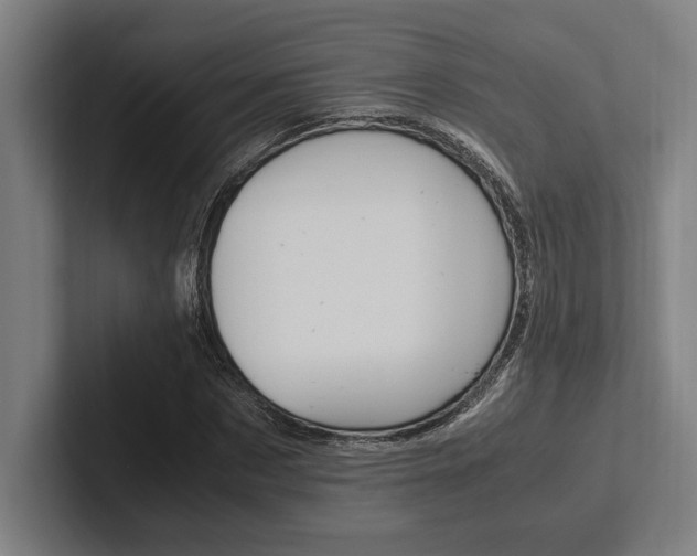 X0000102860873200808181023