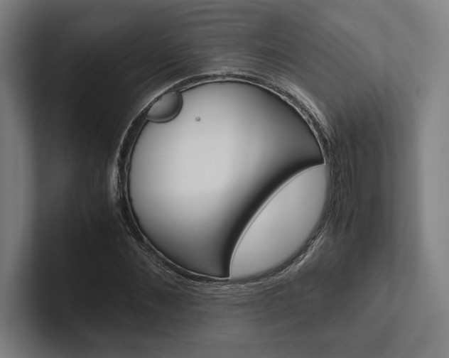X0000102860876200808181023