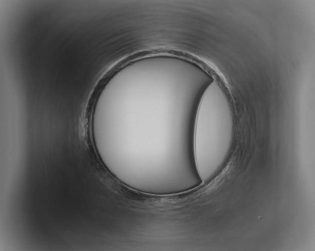 X0000102860879200808181023