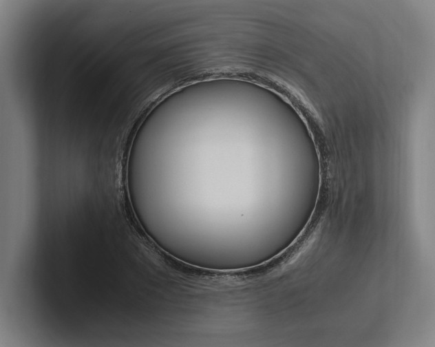 X0000102860881200808181023