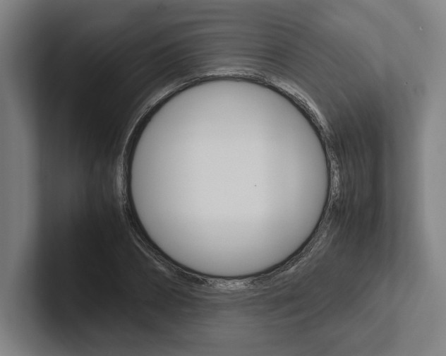 X0000102860882200808181023
