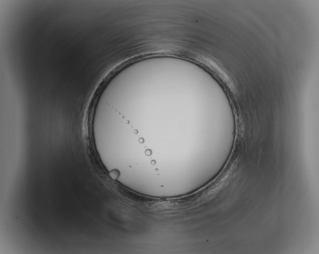 X0000102860883200808181023