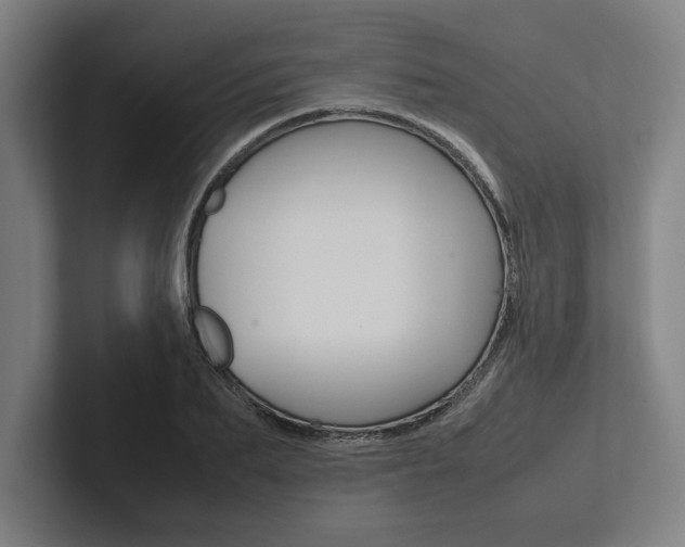 X0000102860887200808181023