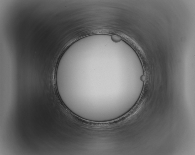 X0000102860889200808181023