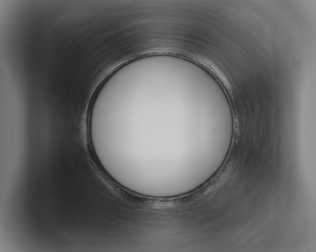X0000102860890200808181023