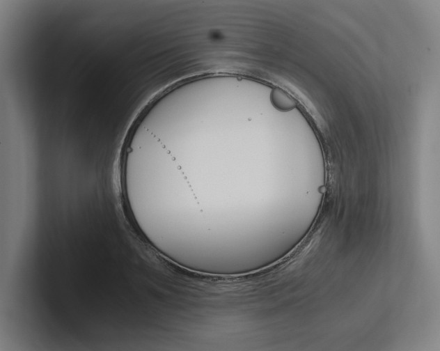 X0000102860891200808181023
