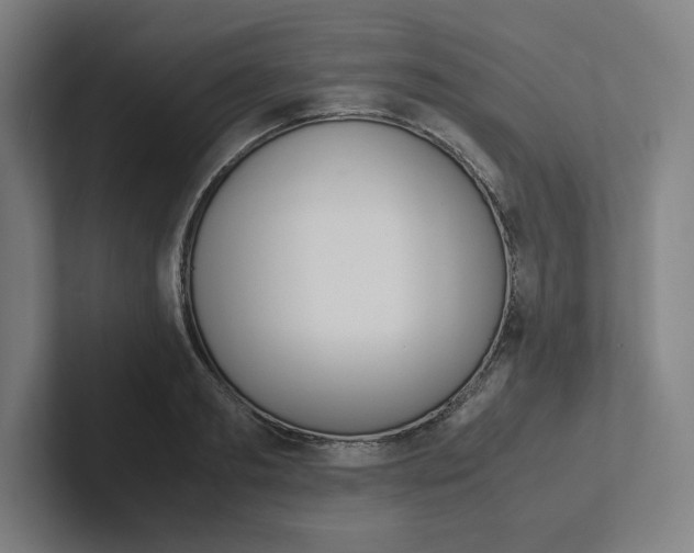 X0000102860893200808181023