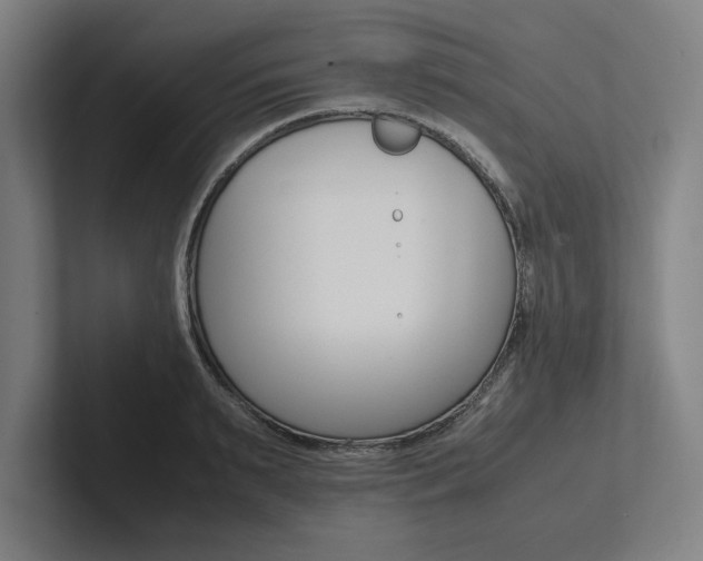 X0000102860895200808181023
