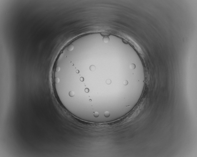 X0000102860899200808181023