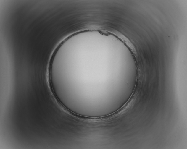 X0000102860904200808181023