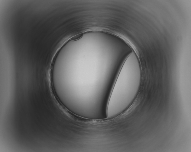 X0000102860906200808181023