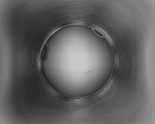 X0000102860908200808181023