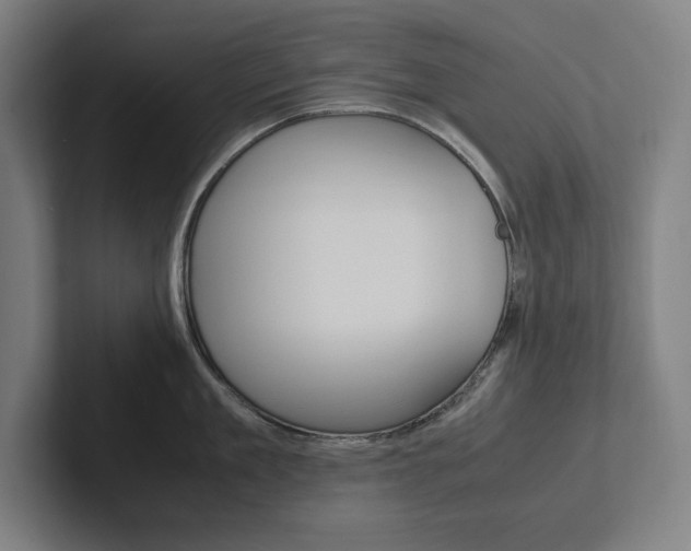 X0000102860909200808181023