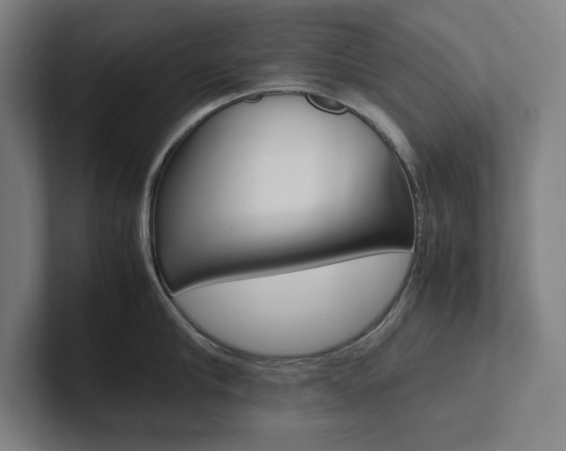 X0000102860910200808181023