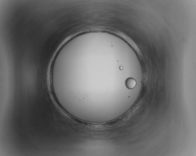 X0000102860911200808181023
