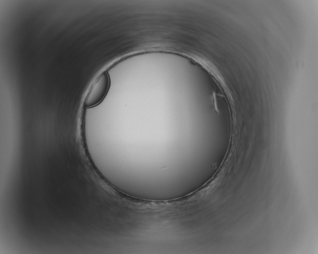 X0000102860912200808181023