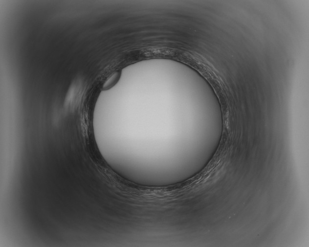 X0000102860915200808181022