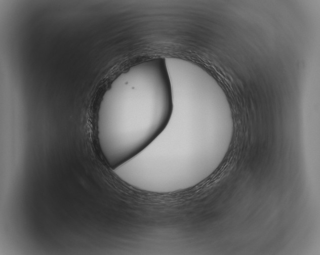 X0000102860916200808181022