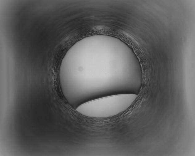 X0000102860917200808181022