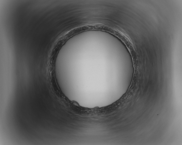 X0000102860920200808181022