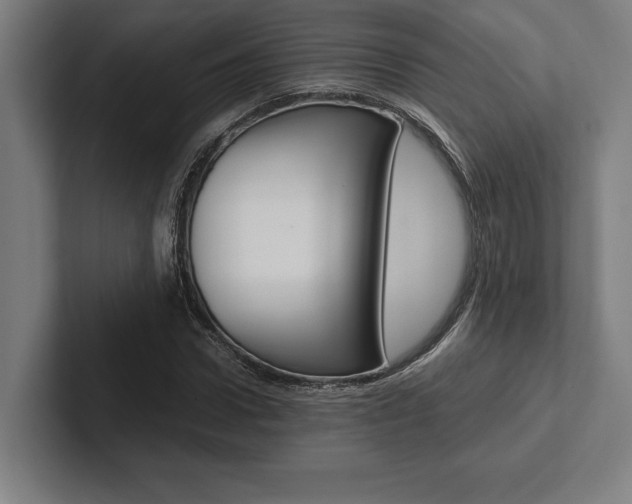 X0000102860922200808181022