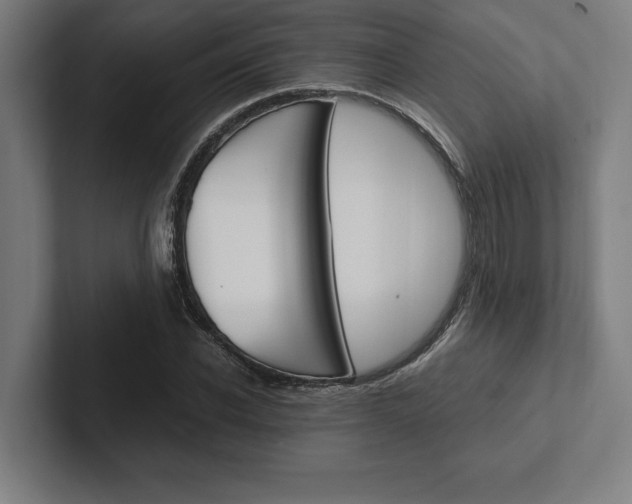 X0000102860926200808181022