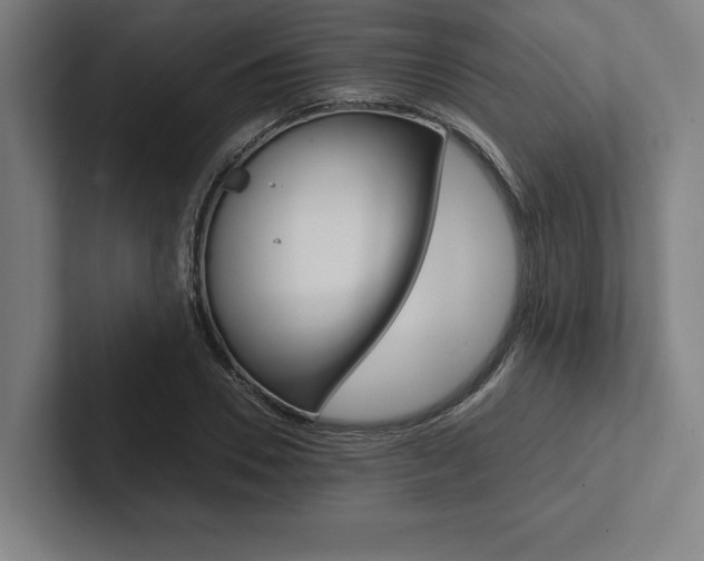 X0000102860930200808181022