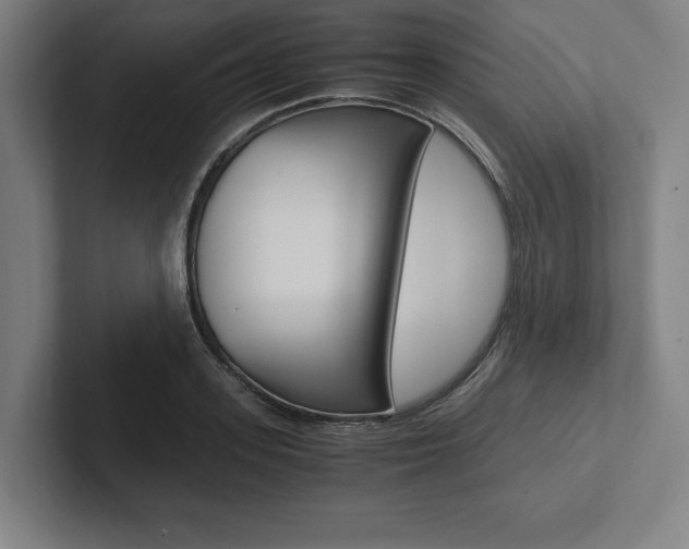 X0000102860939200808181022