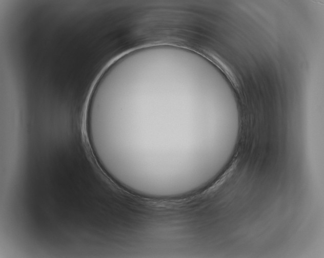 X0000102860940200808181022