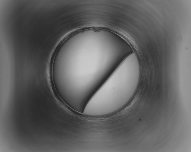 X0000102860942200808181022