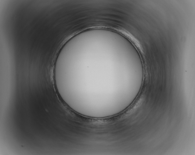X0000102860945200808181023