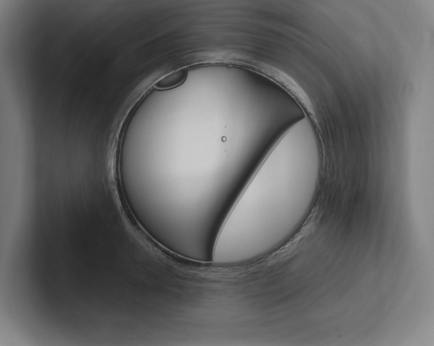 X0000102860946200808181023