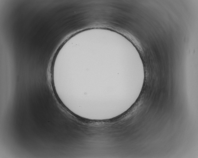 X0000102860950200808181023