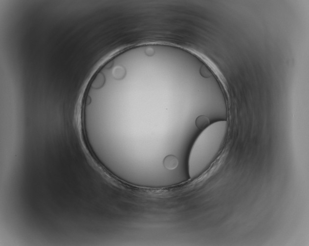 X0000102860957200808181023