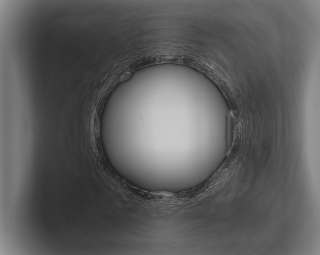 X0000102860961200808181022