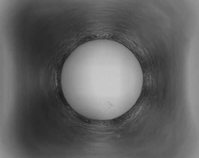 X0000102860962200808181022