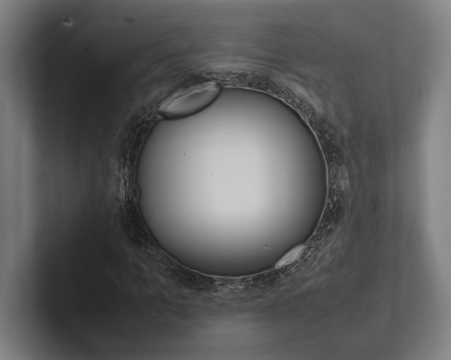 X0000102860965200808181022