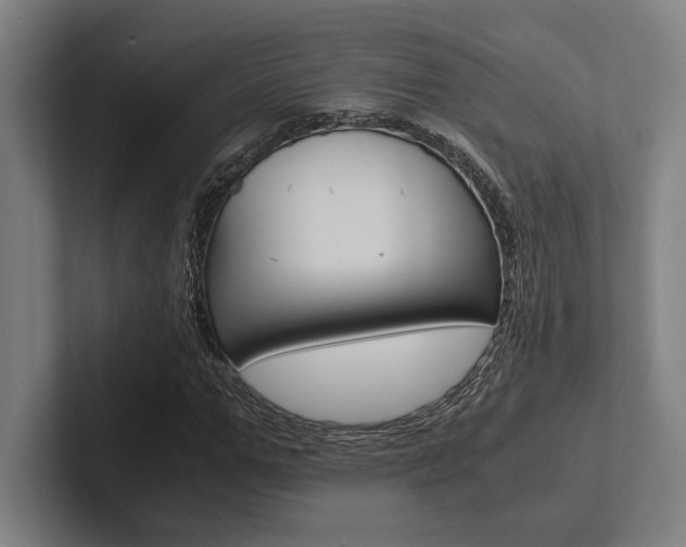 X0000102860967200808181022