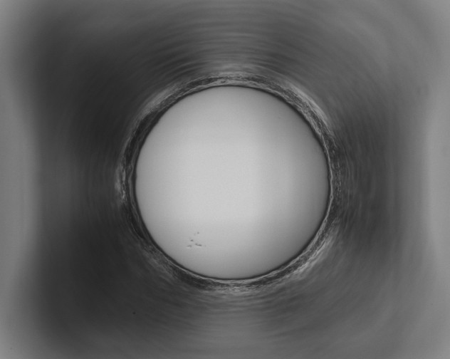 X0000102860970200808181022